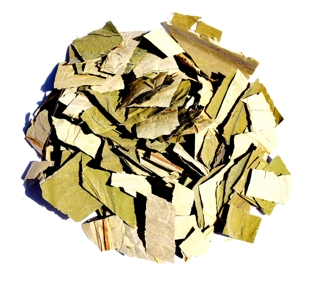 Lotus leaf